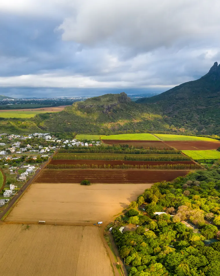 Vue aérienne de champs et de parcelles à l’île Maurice, au pied d’une montagne